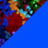 Multicolor/Albastru